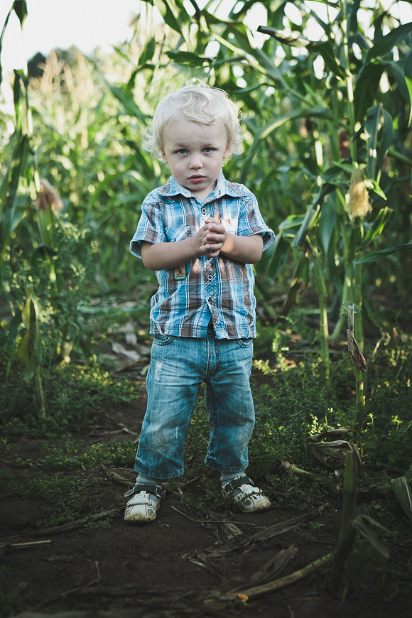 Family in a cornfield - Jaan Sokk Photography