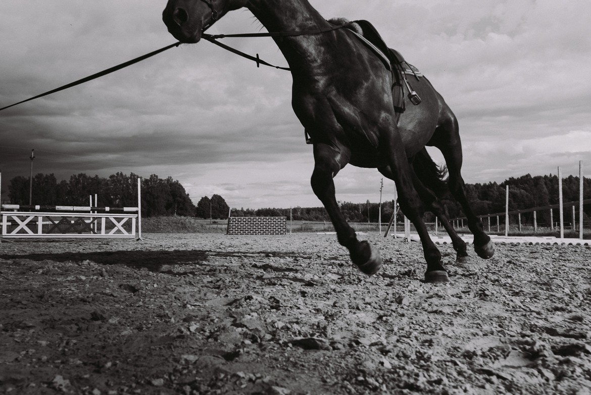 tartu-engagement-shoot-horses_0006.jpg