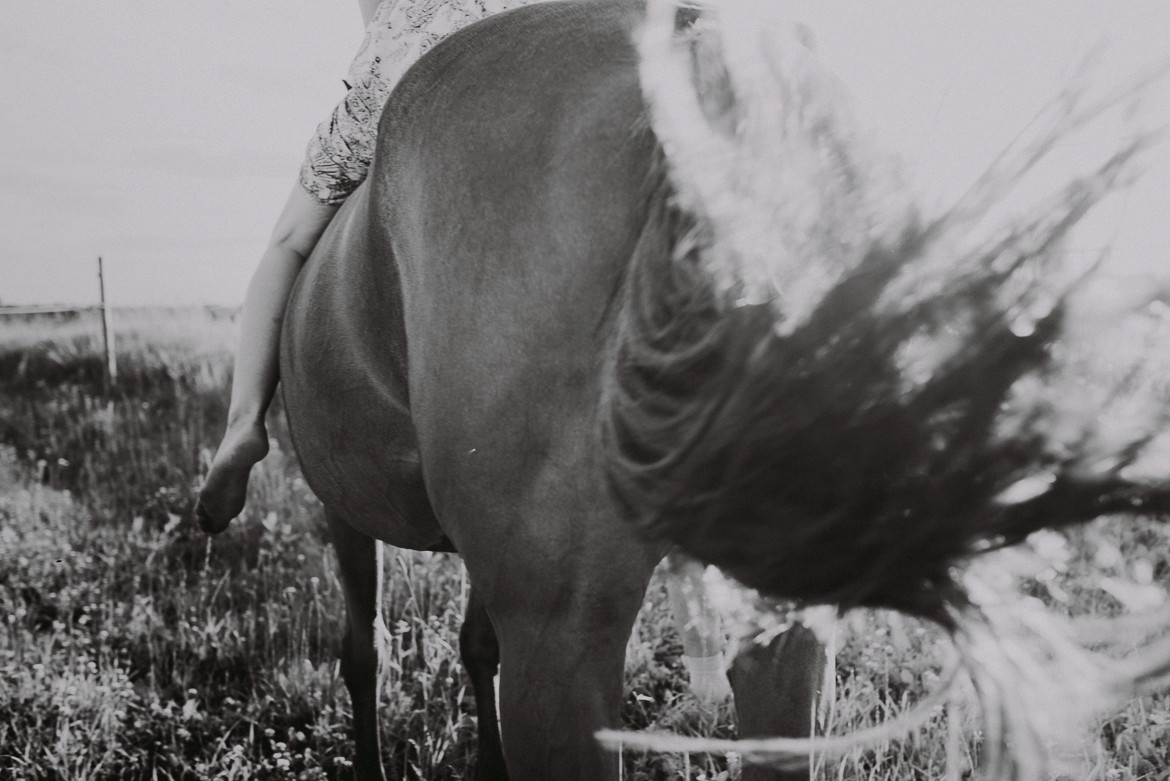 tartu-engagement-shoot-horses_0016.jpg